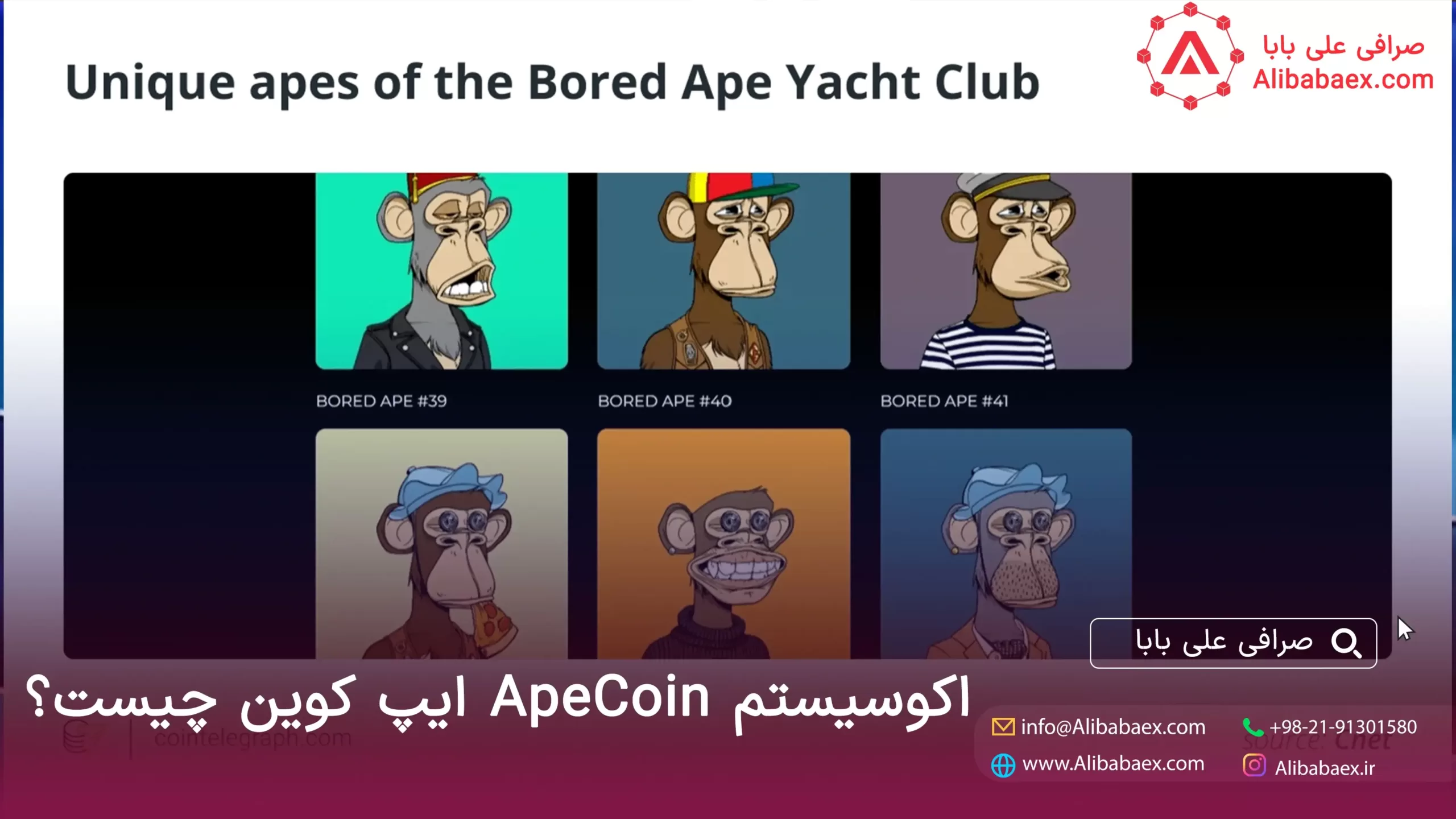 ApeCoin ایپ کوین چیست و چگونه کار می کند؟ | صرافی اکسچنج لند خرید apecoin ایپ کوین