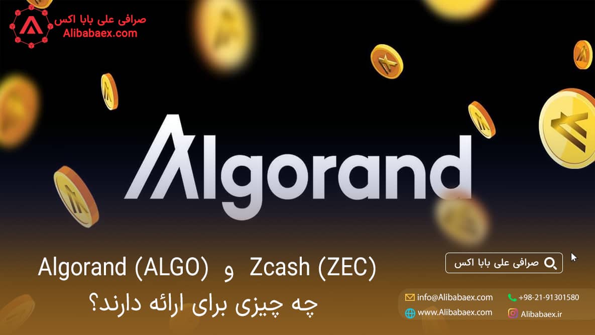 کریپتو الگو