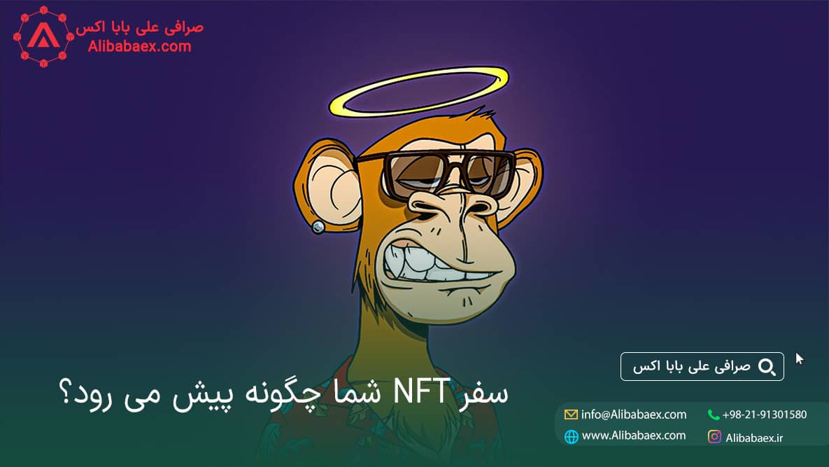 مجموعه NFT برای بیش از نیمی از خریداران سودآور نیست. | صرافی اکسچنج لند خرید مجموعه nft