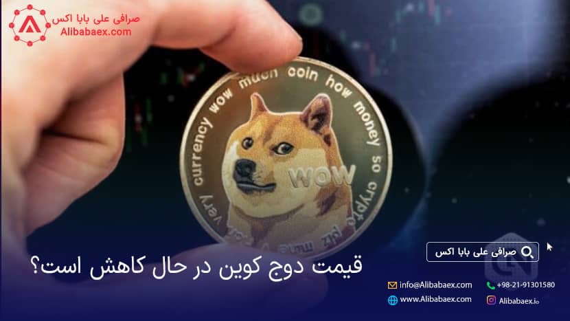 افزایش قیمت دوج کوین